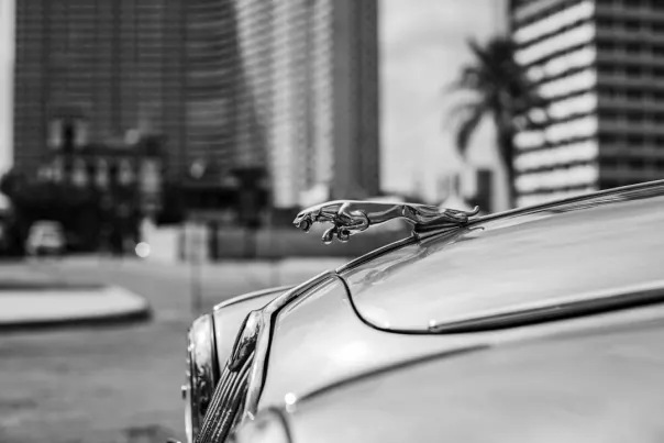 Γουαλλασεβετ Καζίνο Εφαρμογή Android/iOS